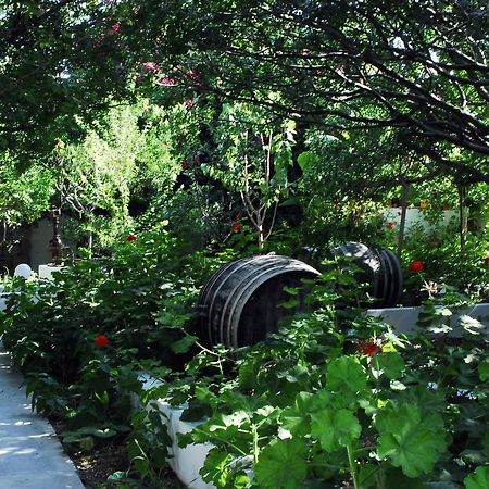 Milos Garden Apartament Adamantas  Zewnętrze zdjęcie